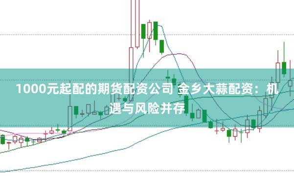 1000元起配的期货配资公司 金乡大蒜配资：机遇与风险并存