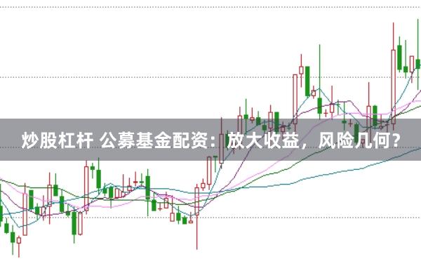 炒股杠杆 公募基金配资：放大收益，风险几何？