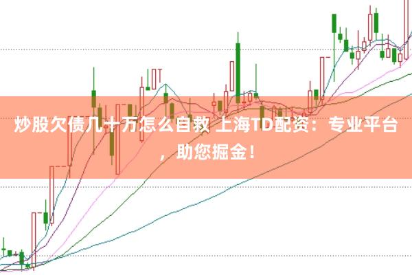 炒股欠债几十万怎么自救 上海TD配资：专业平台，助您掘金！