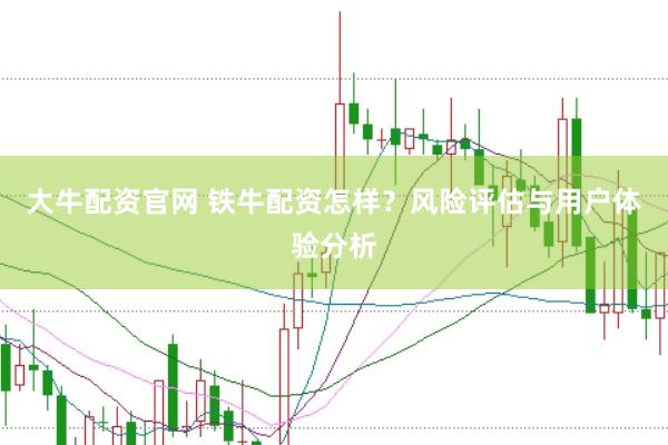 大牛配资官网 铁牛配资怎样？风险评估与用户体验分析