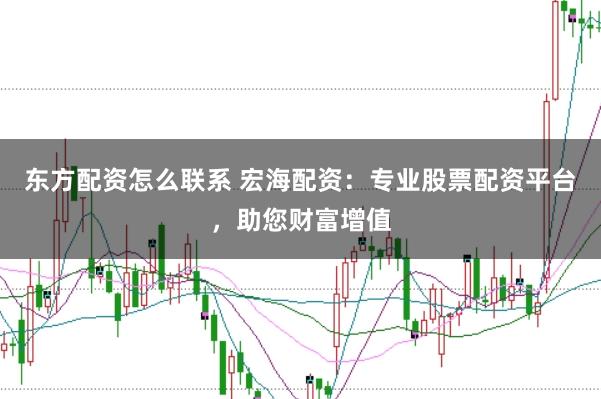东方配资怎么联系 宏海配资：专业股票配资平台，助您财富增值