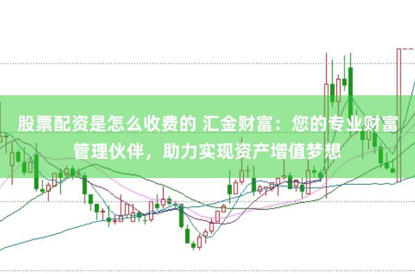 股票配资是怎么收费的 汇金财富：您的专业财富管理伙伴，助力实现资产增值梦想
