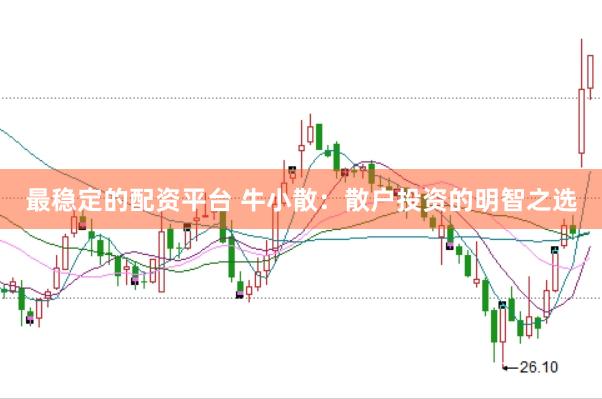 最稳定的配资平台 牛小散：散户投资的明智之选