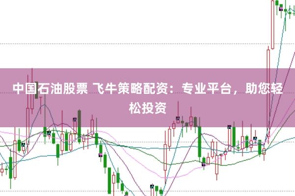 中国石油股票 飞牛策略配资：专业平台，助您轻松投资
