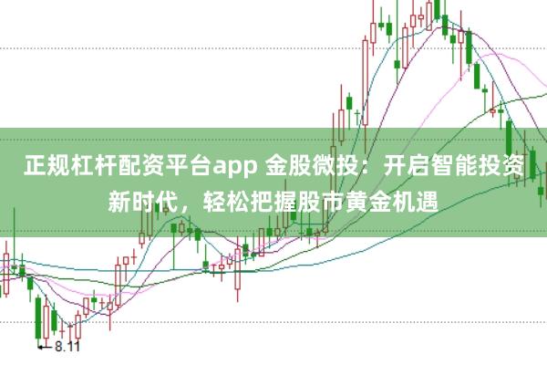 正规杠杆配资平台app 金股微投：开启智能投资新时代，轻松把握股市黄金机遇