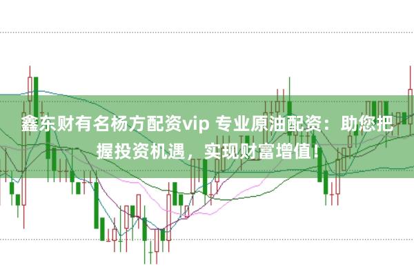 鑫东财有名杨方配资vip 专业原油配资：助您把握投资机遇，实现财富增值！