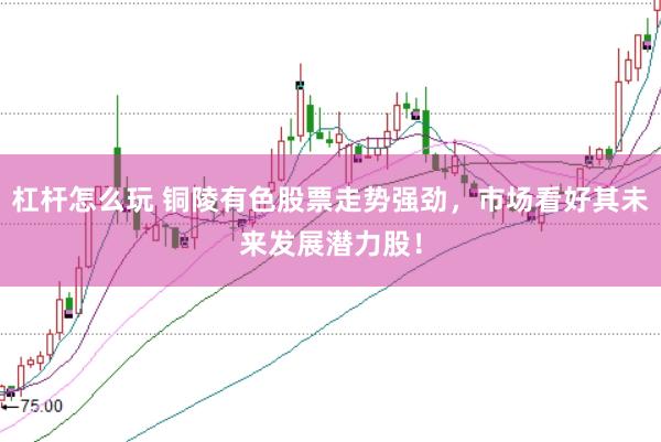 杠杆怎么玩 铜陵有色股票走势强劲，市场看好其未来发展潜力股！