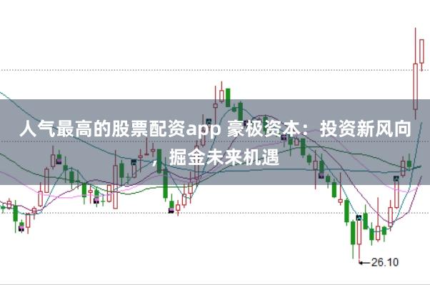 人气最高的股票配资app 豪极资本：投资新风向，掘金未来机遇